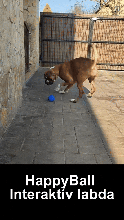 Happy Ball