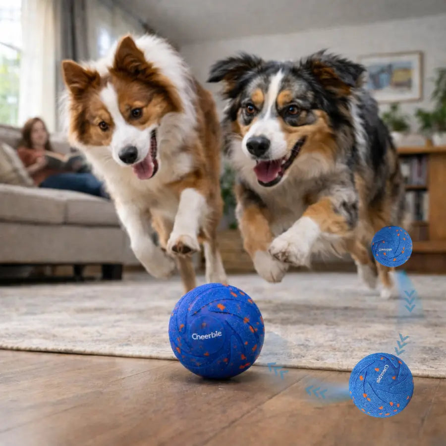 Wicked Ball Air