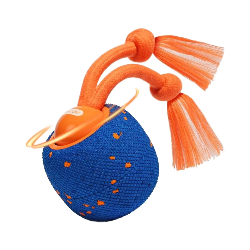Wicked Ball Rolly