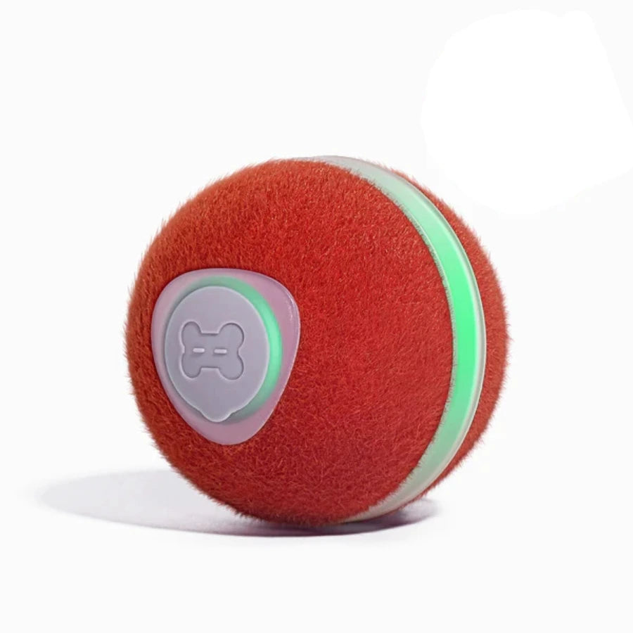 Wicked Ball M3 kistestű kutyáknak és cicáknak