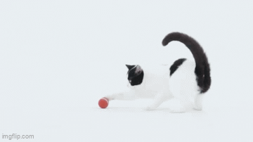 Wicked Ball M3 kistestű kutyáknak és cicáknak