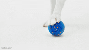 Wicked Ball Air